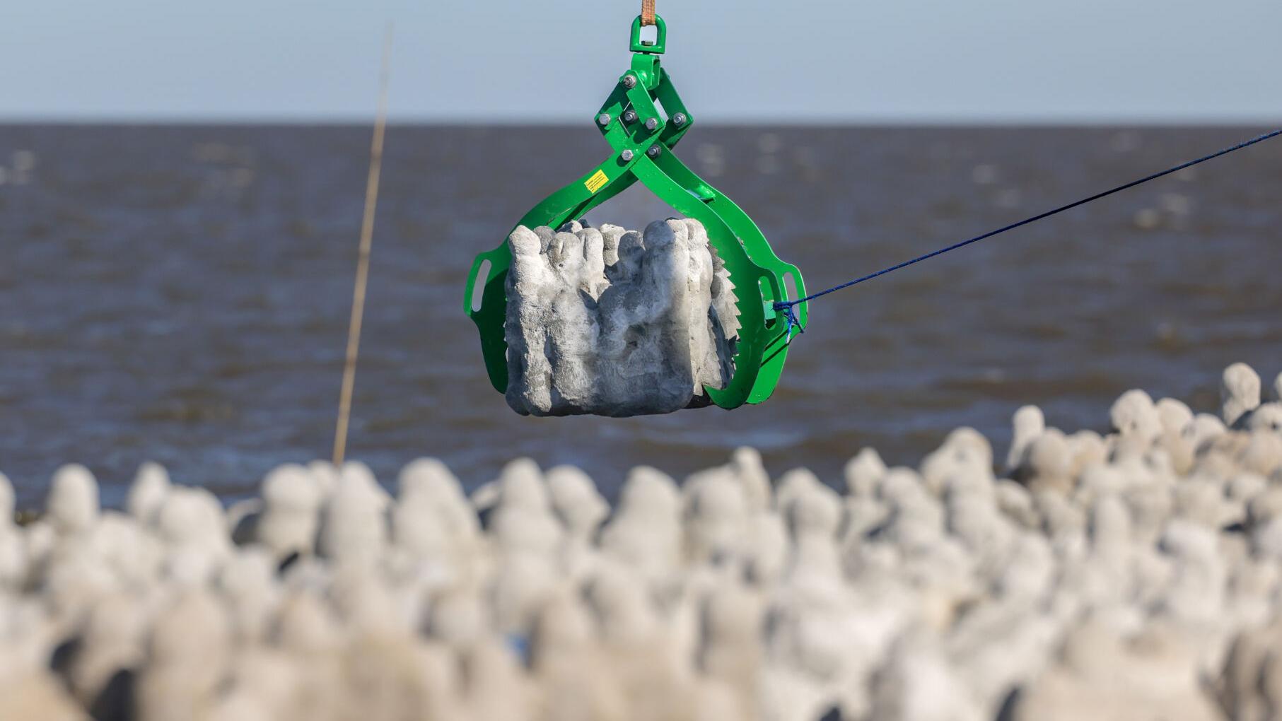 3D-printed 'Cajun coral' project aims to boost Louisiana's fish and oyster habitat
